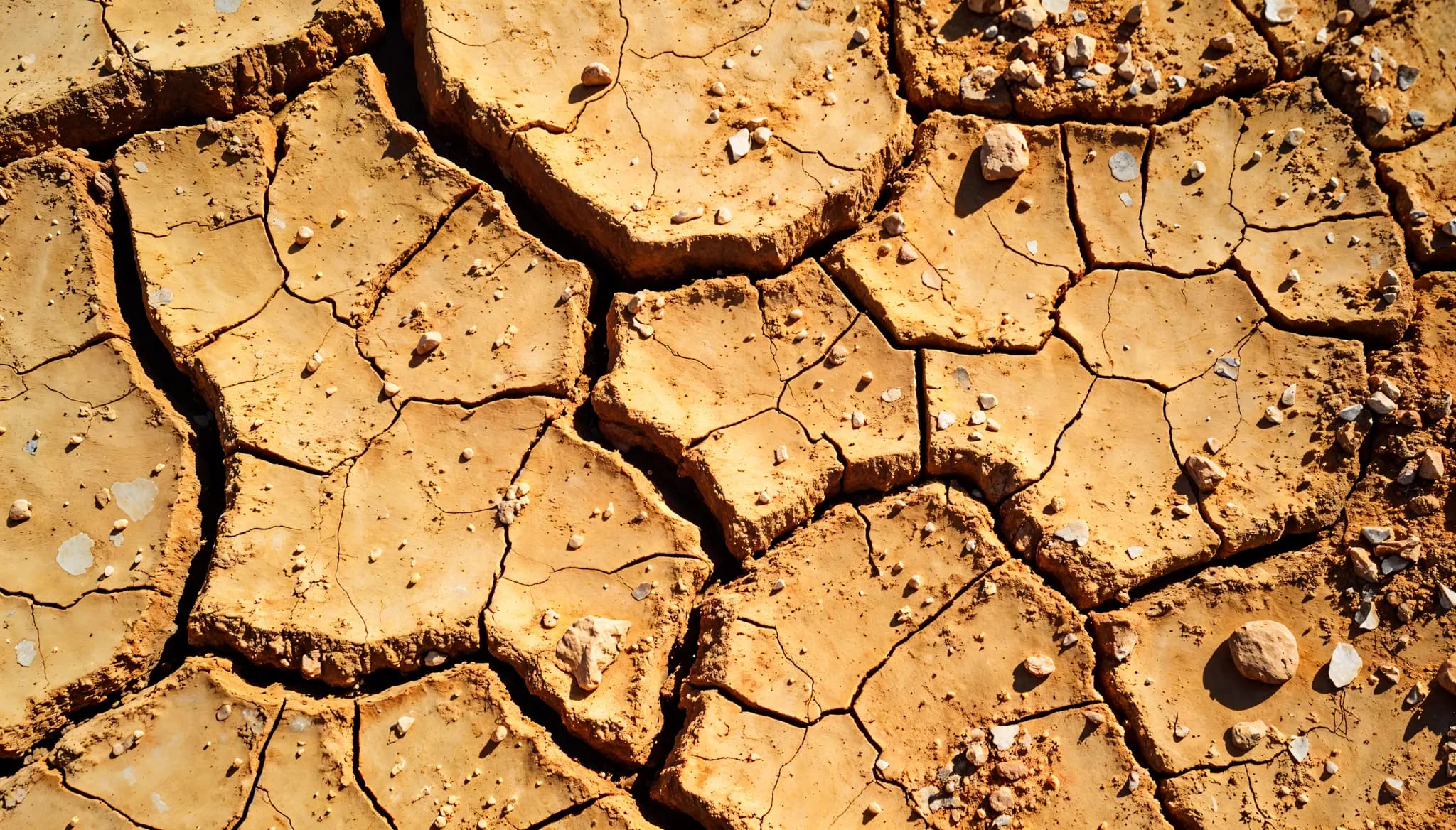 Drought and Water Stress