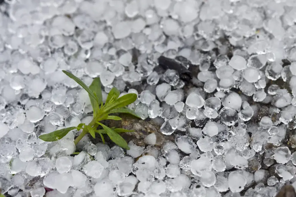 Hail