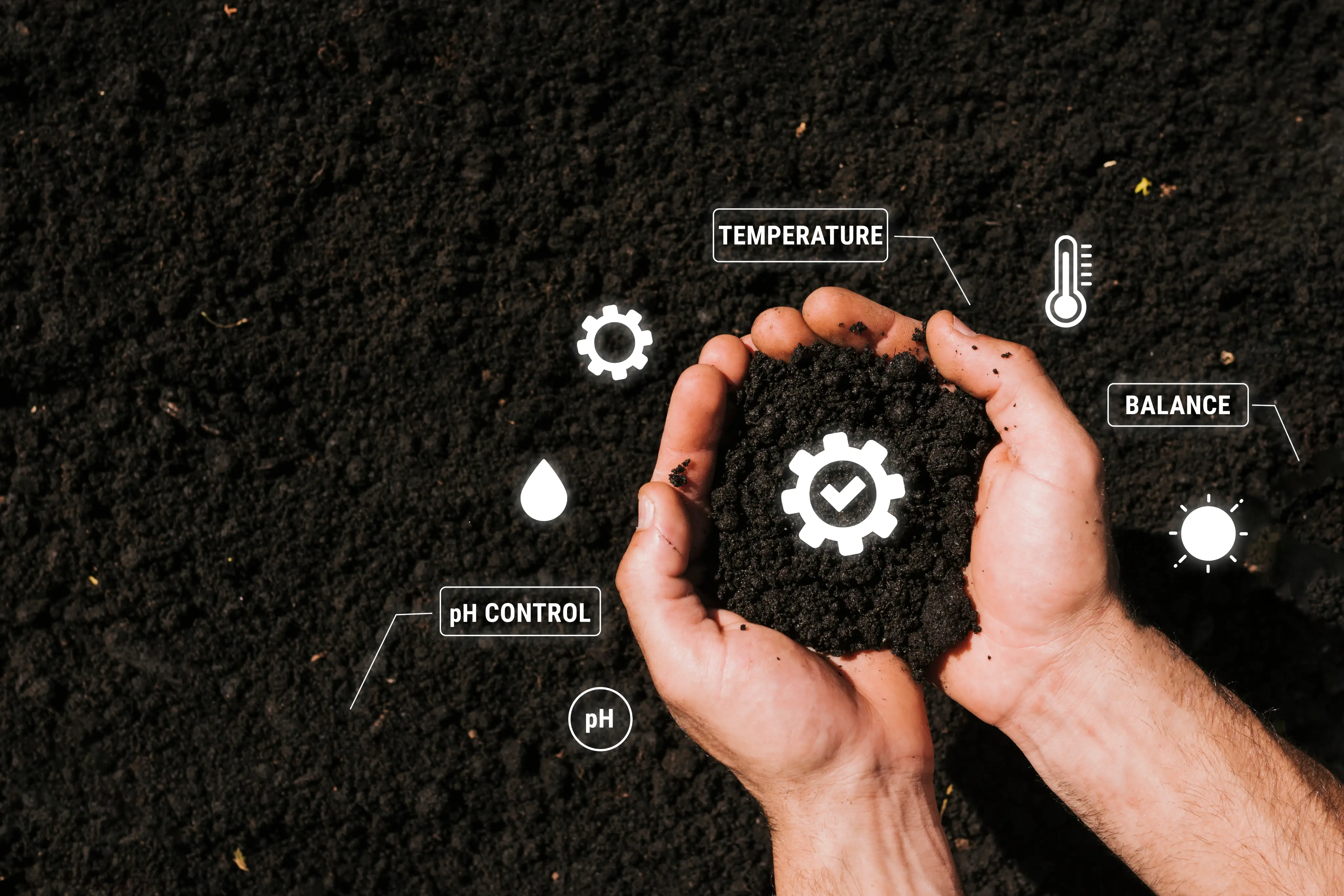 Sustainable Soil Fertility